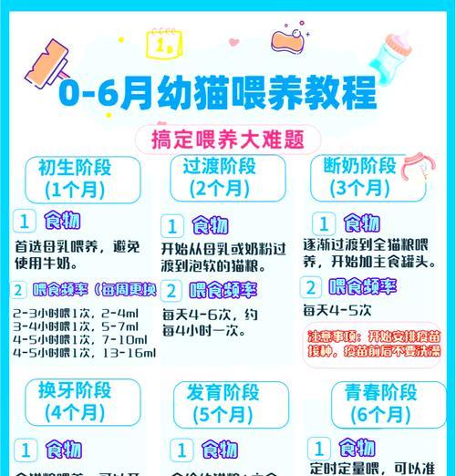 猫粮湿粮和罐头的正确喂养方法是什么？如何确保猫咪营养均衡？