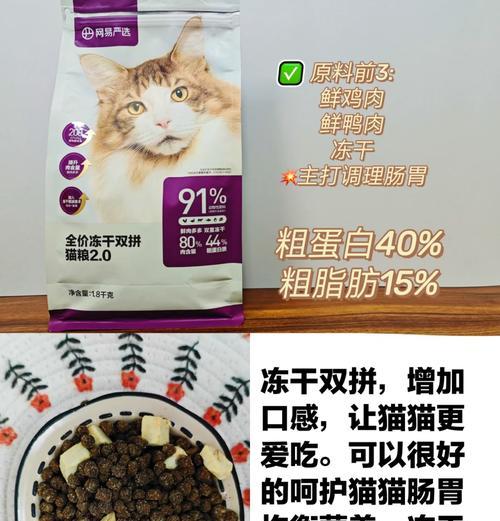 未满一岁小猫的猫粮选择：如何确保营养均衡？