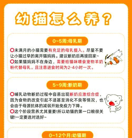 猫咪拒食猫粮改喝奶粉怎么办？有效解决方法有哪些？