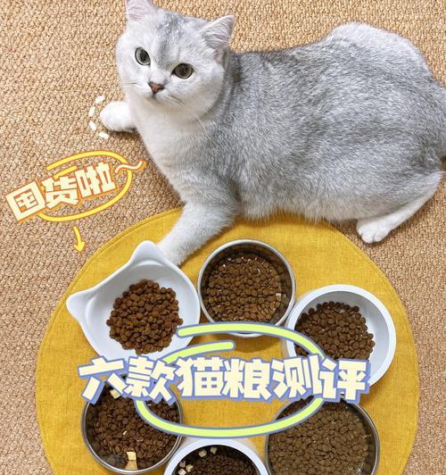 试吃装如何帮助判断猫咪对猫粮的喜好？