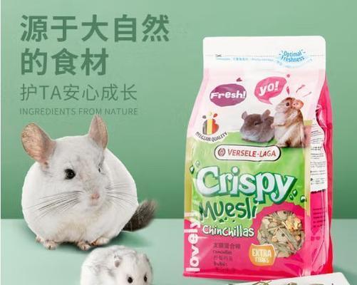 龙猫的营养粮食选择指南：什么粮好吃又健康？