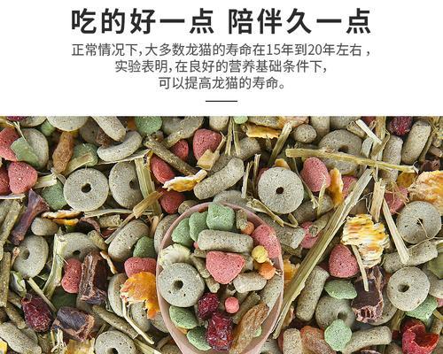 龙猫的营养粮食选择指南：什么粮好吃又健康？