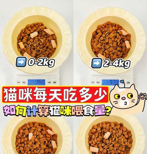 母猫食欲不振怎么办？如何正确喂食猫粮？