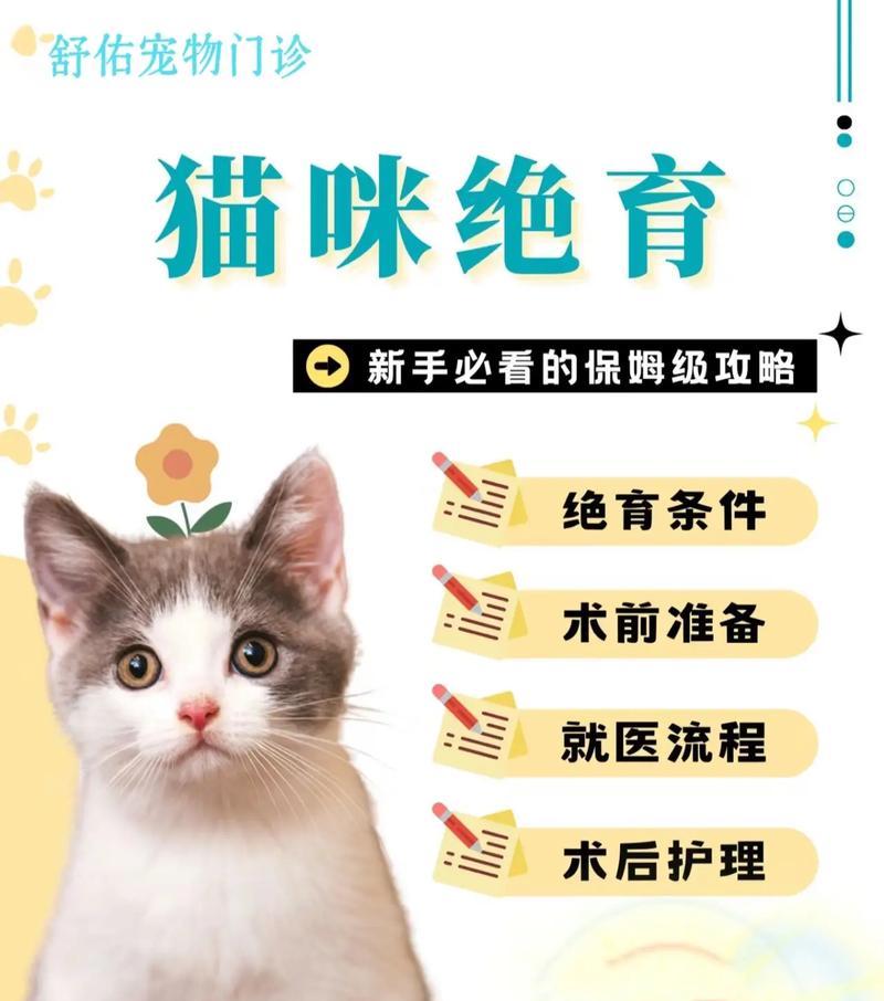 绝育后猫咪食欲不振怎么办？长毛猫猫粮推荐以促进爆毛？