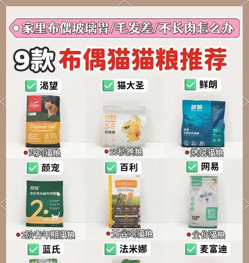 三岁布偶猫猫粮选择指南：哪种更适合它们？