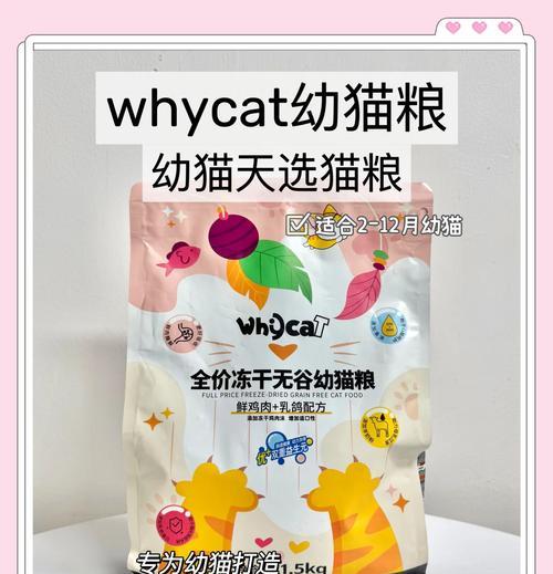 凯贝尔猫粮过渡期选择指南：如何挑选合适的产品？
