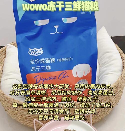 自制猫粮的美味秘诀是什么？如何确保营养均衡？