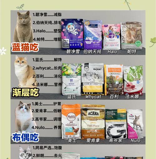 26岁高龄猫咪应选择哪种猫粮？如何挑选适合老年猫的食品？