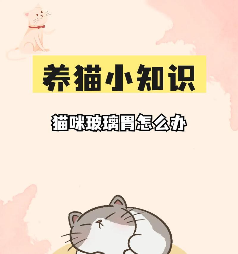 猫咪食欲不振怎么办？猫粮不吃了如何应对？