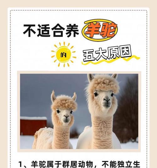 羊驼接触硫酸会致命吗？它们的生理反应是什么？