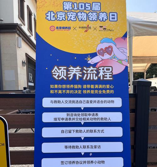 心怡宠物领养条件是什么？领养流程步骤详解？