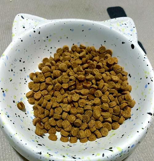 用杂鱼制作猫粮的方法是什么？这样做对猫咪健康有影响吗？