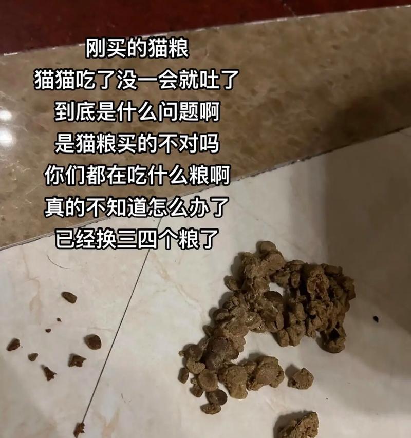 猫咪嚼碎猫粮困难的原因是什么？如何解决？
