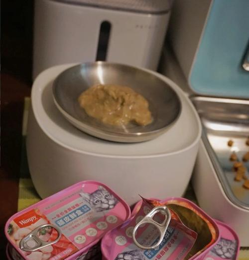 小猫为什么偏爱罐头而不吃猫粮？揭秘背后的原因！