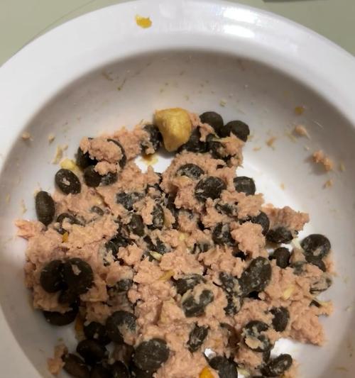 自制奶糕猫粮罐头牛肉的步骤是什么？制作过程中应该注意哪些事项？