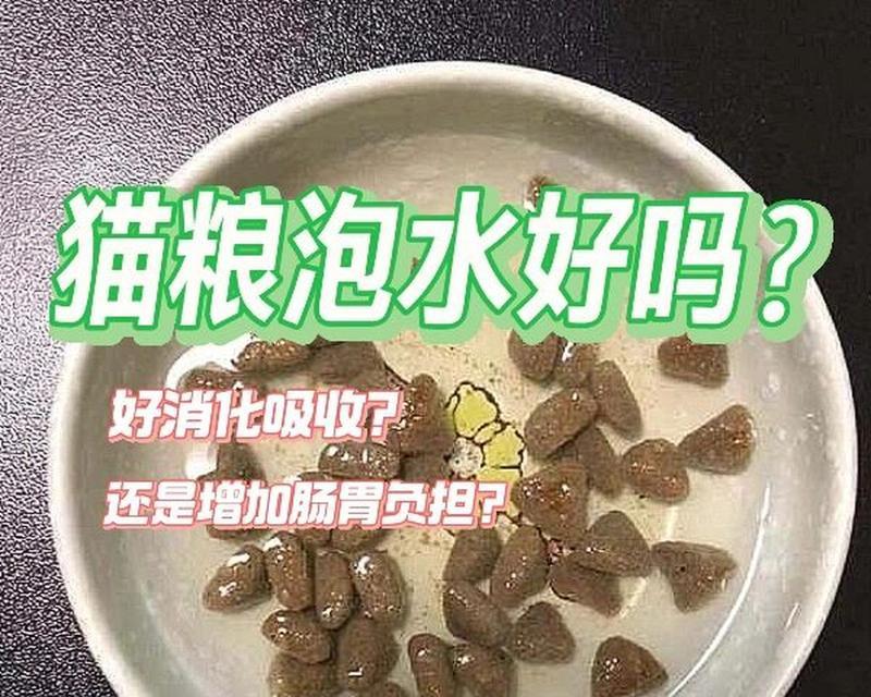 划不破的猫粮处理方法是什么？如何正确处理不破的猫粮？