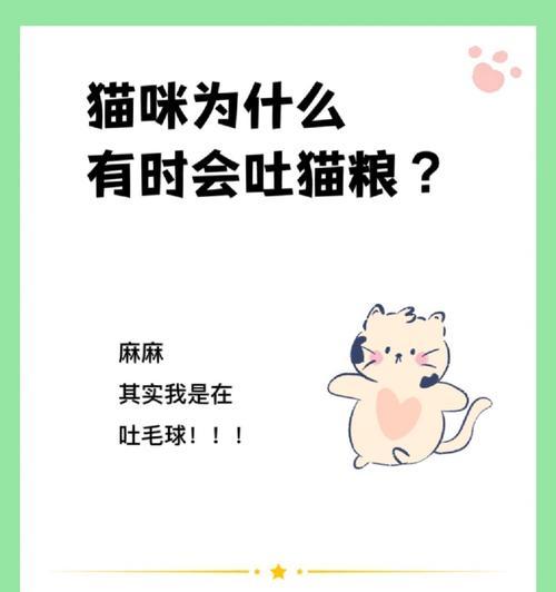 猫咪藏猫粮的原因是什么？如何解决这一行为问题？