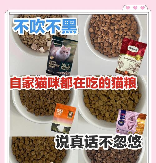 冬季猫粮推荐：哪些猫粮保暖好消化又营养？