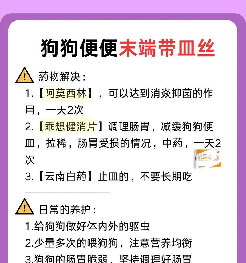 狗狗突然换粮拉血怎么办？平稳过渡饮食的正确方法是什么？