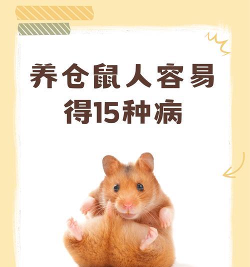 仓鼠长虱子每天喷药几次是正确的频率？