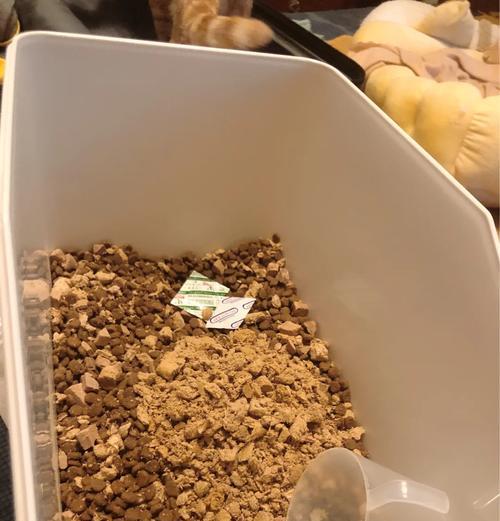 自制猫粮怎么做？步骤详解与注意事项有哪些？
