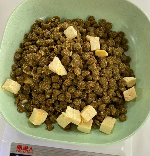 猫粮营养猫爱吃吗？如何正确喂食以确保健康？