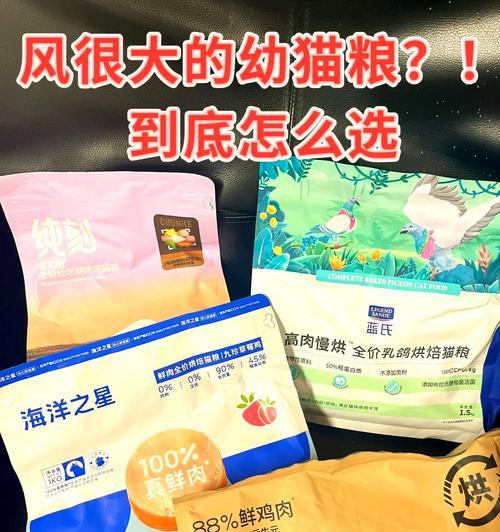 幼猫除了羊奶湿粮还能吃什么？其他猫粮选择指南