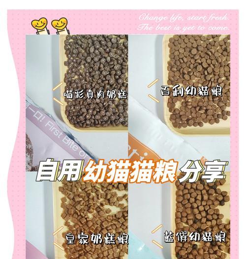 幼猫除了羊奶湿粮还能吃什么？其他猫粮选择指南