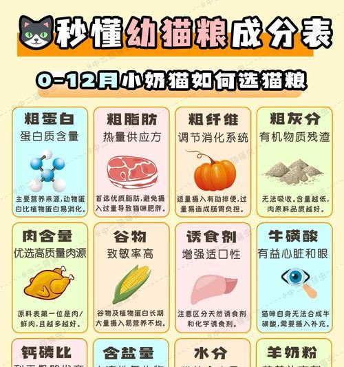 猫粮消化性如何判断？选择时需关注哪些成分？
