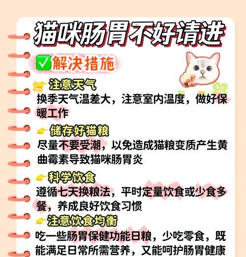 猫肠炎适合吃什么猫粮好？患病猫咪的饮食建议有哪些？