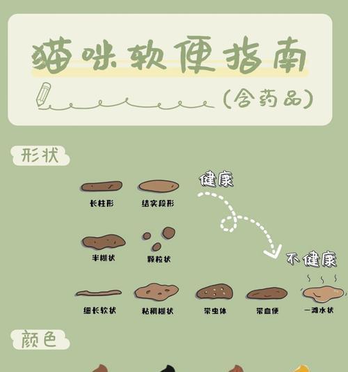 湿猫粮引起猫咪拉稀如何处理？