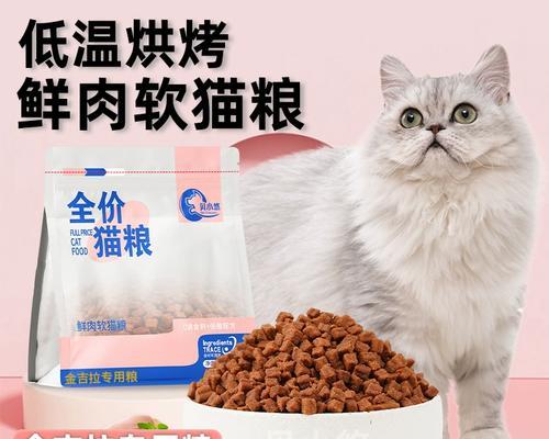 适合金吉拉的猫粮有哪些推荐？如何选择合适的猫粮？