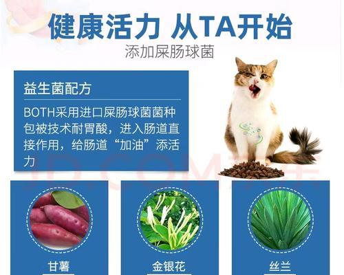 适合金吉拉的猫粮有哪些推荐？如何选择合适的猫粮？