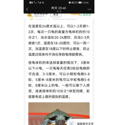 巴西龟肠炎了怎么办？如何进行有效治疗和预防？