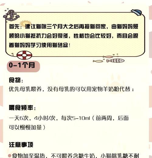 三个月大的小猫喂食猫粮的正确方法是什么？喂养建议有哪些？