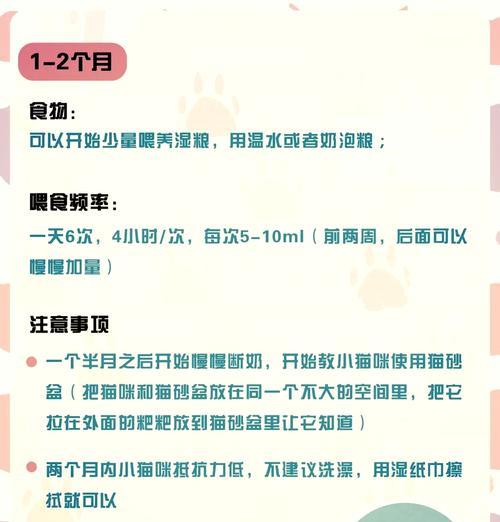 三个月大的小猫喂食猫粮的正确方法是什么？喂养建议有哪些？