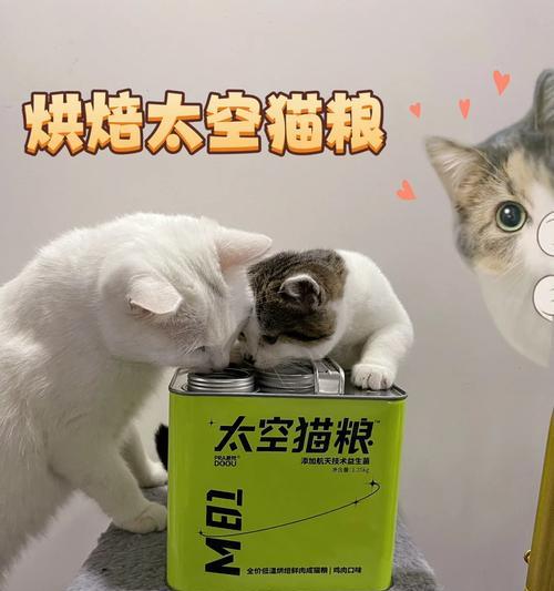 猫粮储粮铁罐打不开怎么办？有效解决方法是什么？