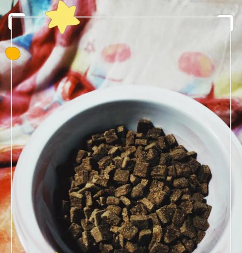 自制鲜肉猫粮怎么做？制作过程中需注意哪些事项？