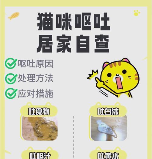 羊驼洗澡后吐白沫子原因？