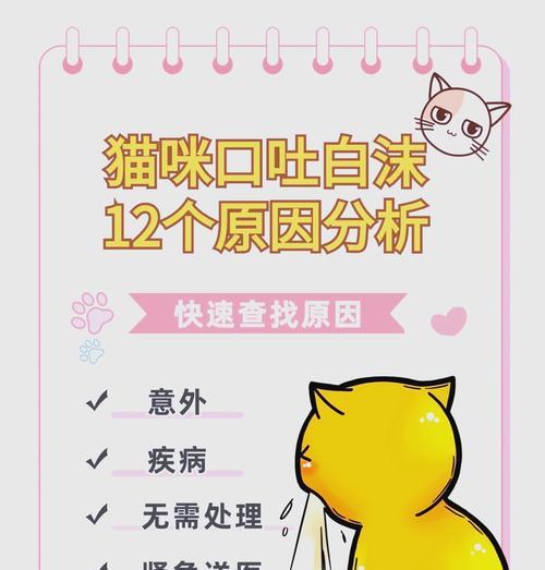羊驼洗澡后吐白沫子原因？