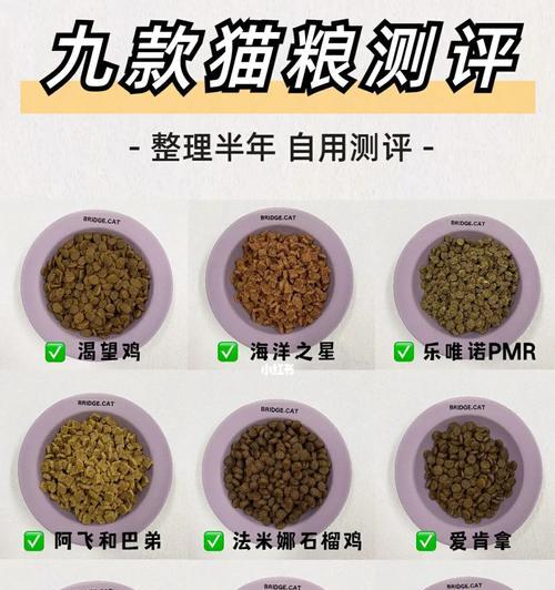  如何正确储存宠物猫粮以保持新鲜度？