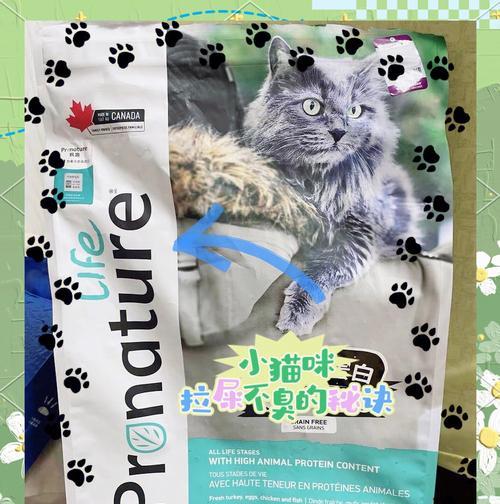 猫咪排便问题如何解决？选择哪种猫粮能有效改善？