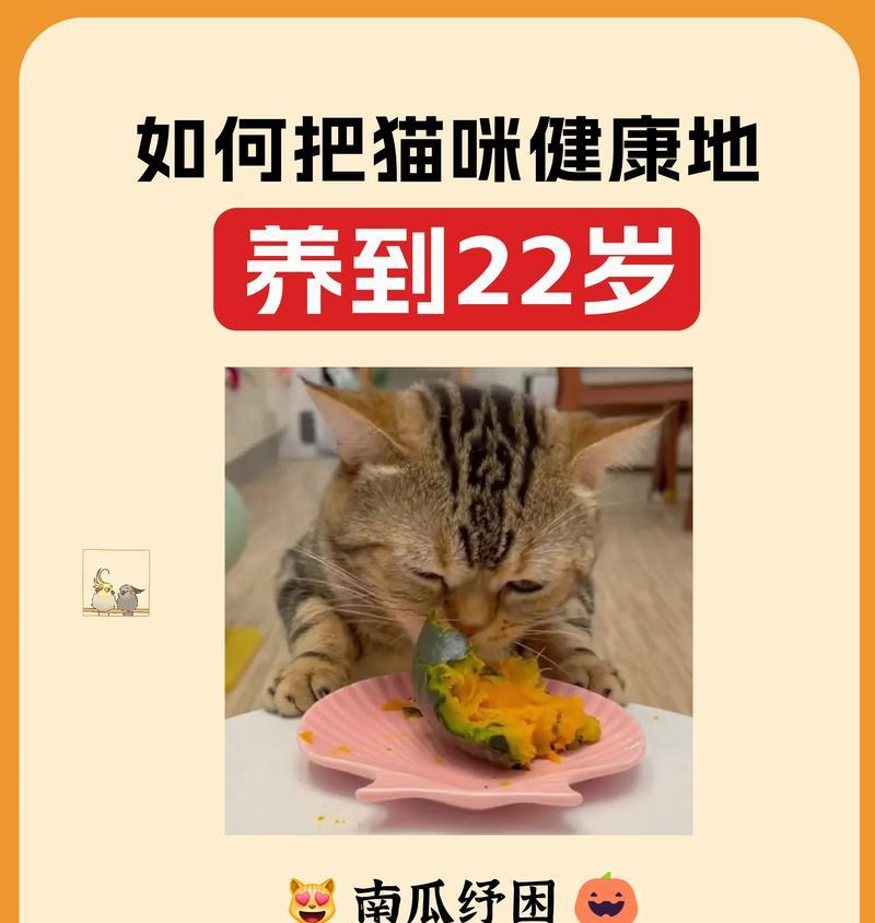 虾皮能混猫粮吗？如何正确混合虾皮和猫粮？