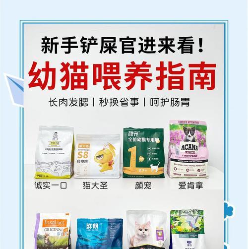 幼猫喂养猫条和猫粮的正确方法是什么？如何确保营养均衡？