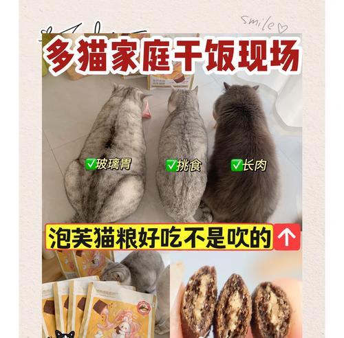 猫粮泡芙工艺是什么？猫粮为何采用泡芙工艺制作？