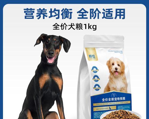 杜宾犬偏好的狗粮类型是什么？如何选择适合的狗粮？
