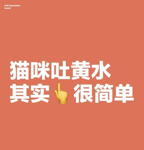 喂猫鱼粮吐黄水的原因是什么？如何预防和处理？