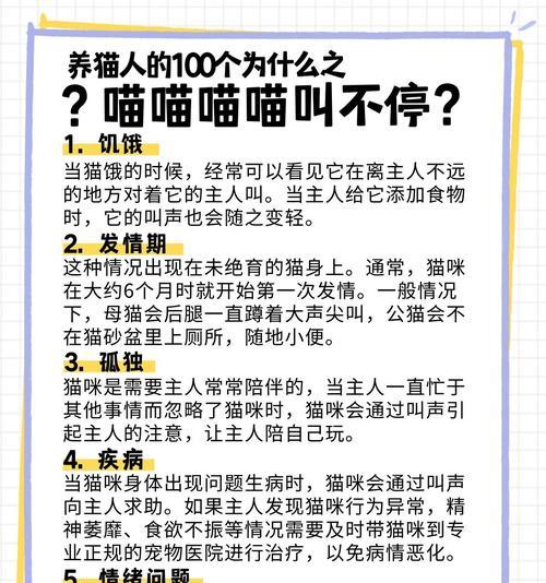 猫在猫屋吃猫粮时叫唤的原因是什么？有效解决方法有哪些？