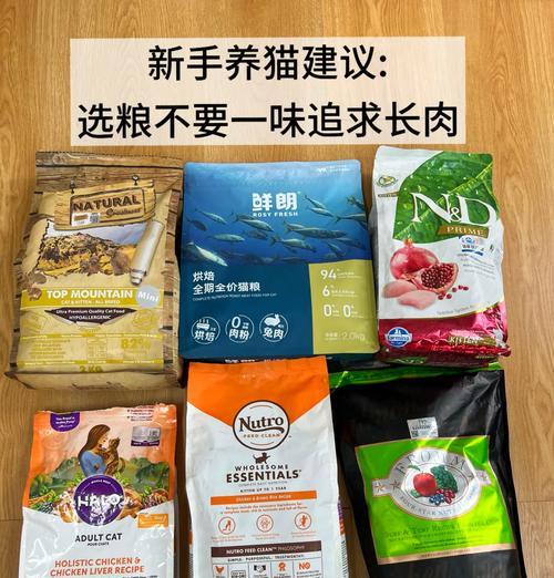 猫咪无猫粮时的替代食品有哪些？如何确保营养均衡？