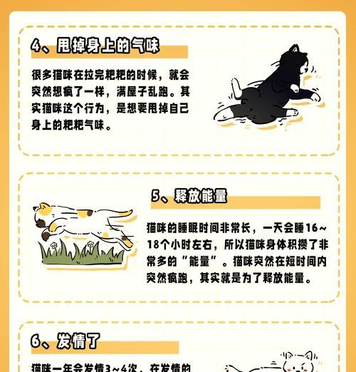 猫咪突然消失后怎么办？买猫粮后如何防止猫逃跑？